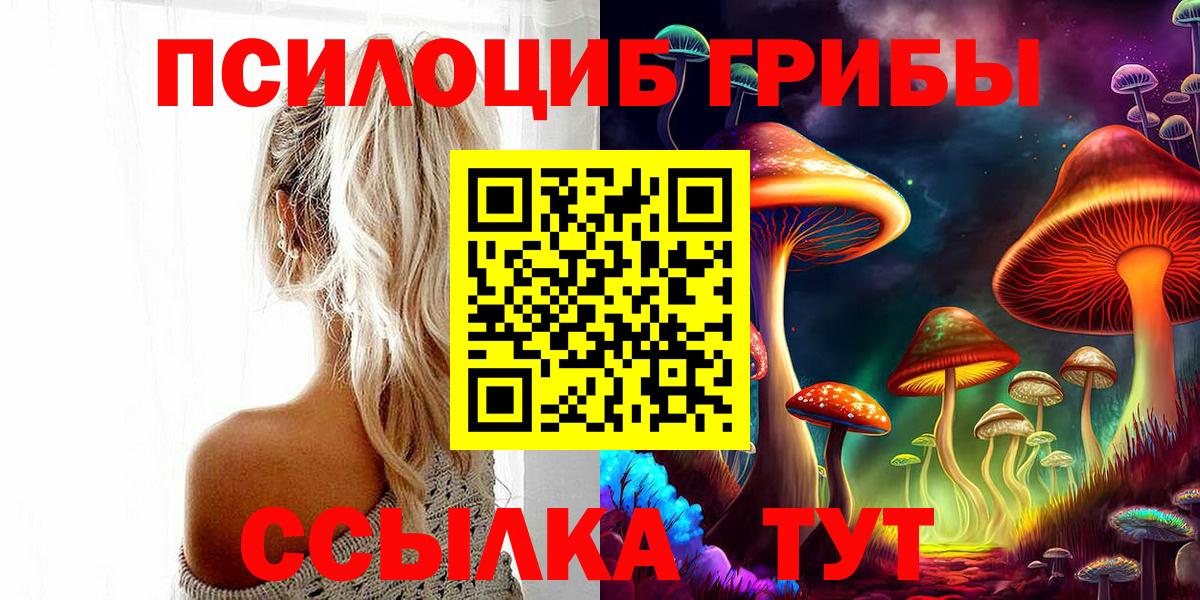 Псилоцибиновые грибы Psilocybe  Вход с VPN  Бирск 
